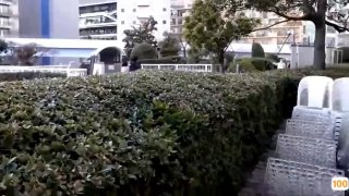 重生1983 小说风骚熟女阿姨！这颜值算天花板了【完整版55分钟已上传下面】